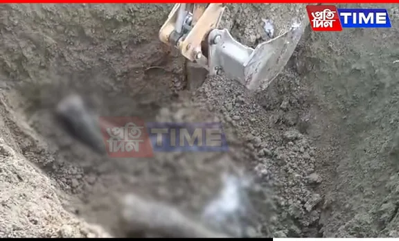 Buried Remains Of Wild Elephant Found In NRL Township Sparks Outrage